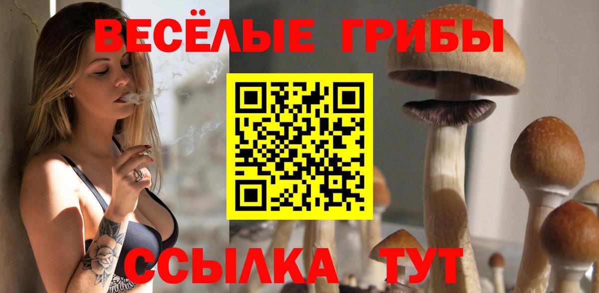 Псилоцибиновые грибы Psilocybe Кохма